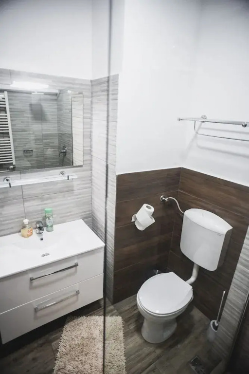 Petrosani Camere de Inchiriat - Hotel Petroshani srl