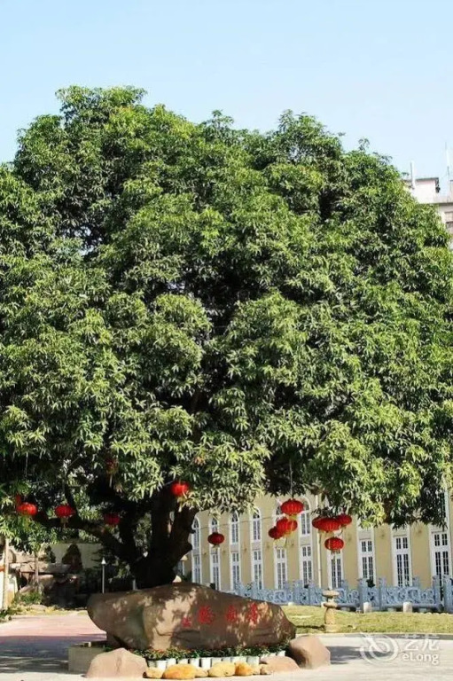 Xiamen Heyijia Garden Hotel