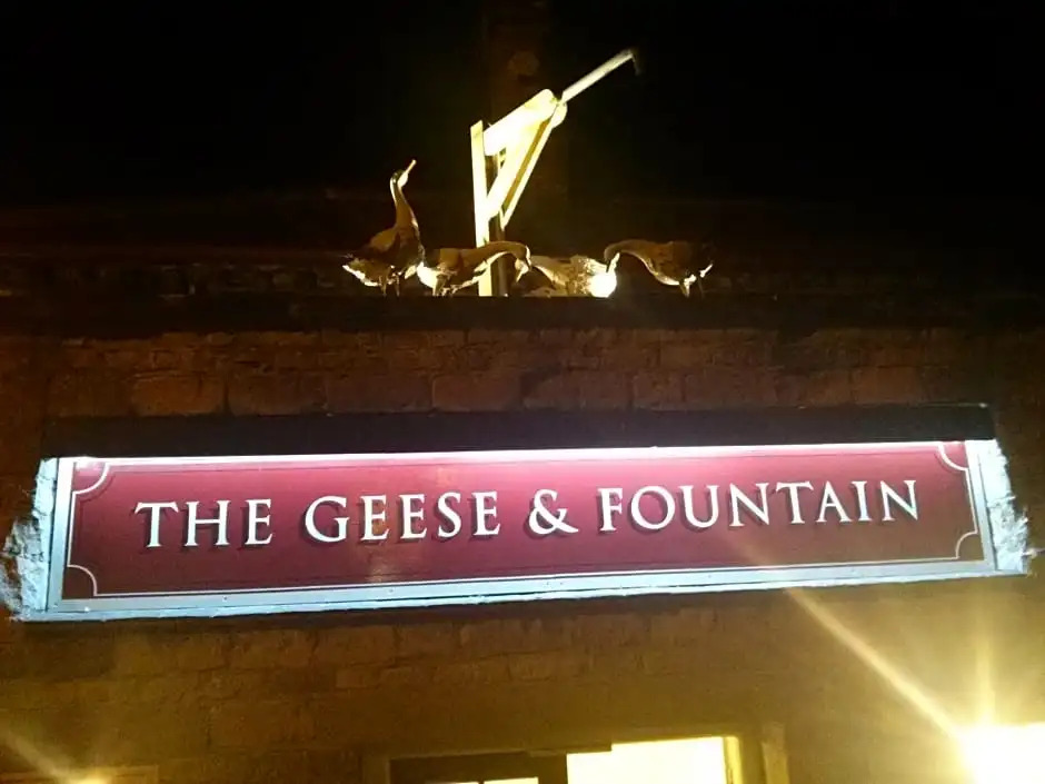 The Geese and Fountain