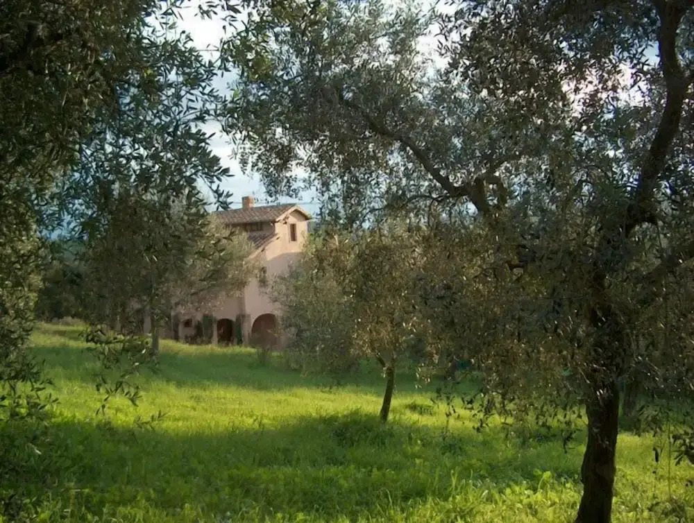 Agriturismo Terra Sabina