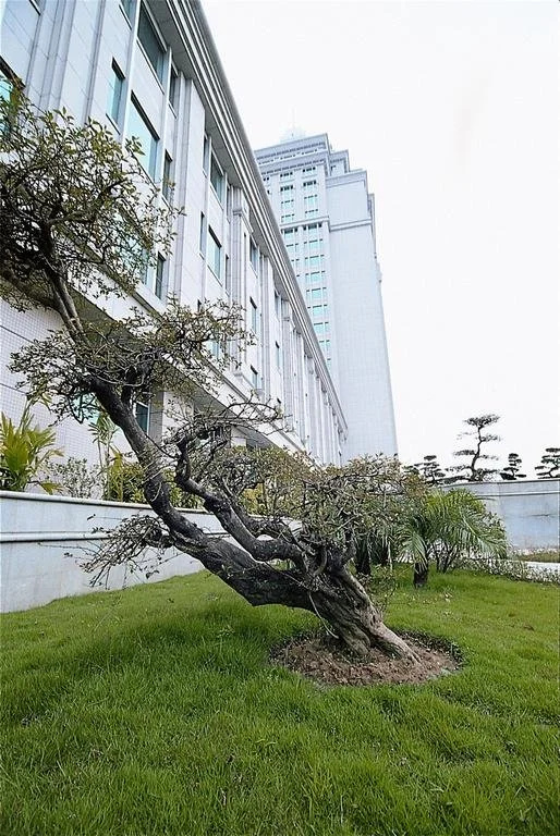 Wilson Business Hotel