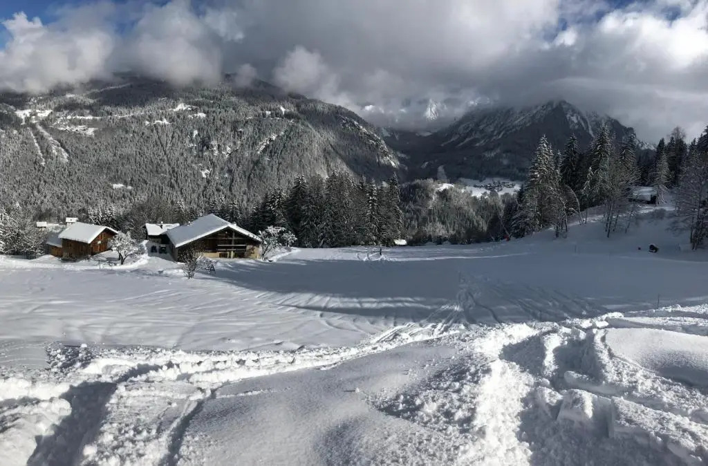 La ferme des ours
