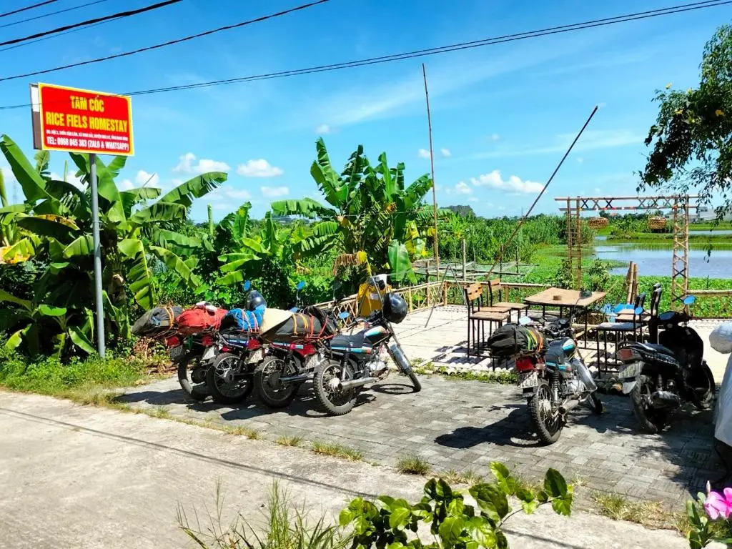 Tam Coc Rice Fields Homestay