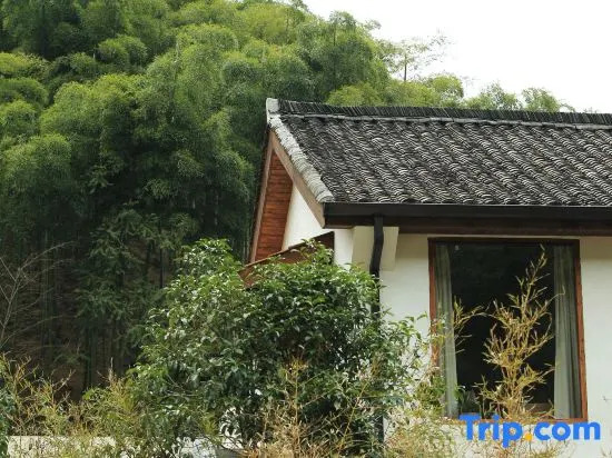 Xipu Boutique Hostel