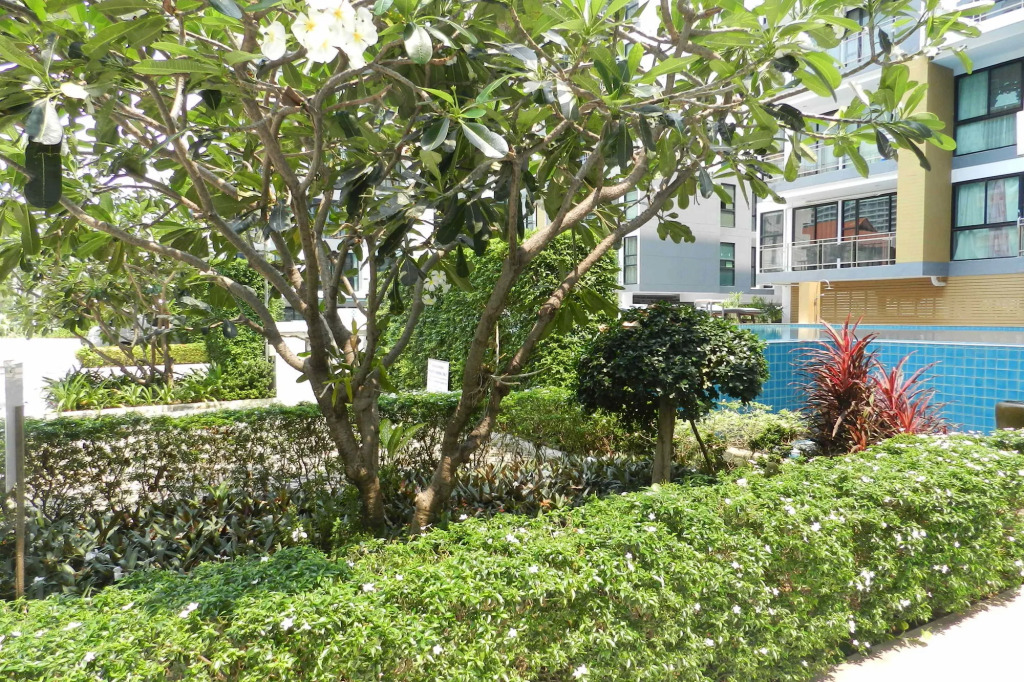 Apartments Alex Group NEOcondo Pattaya
