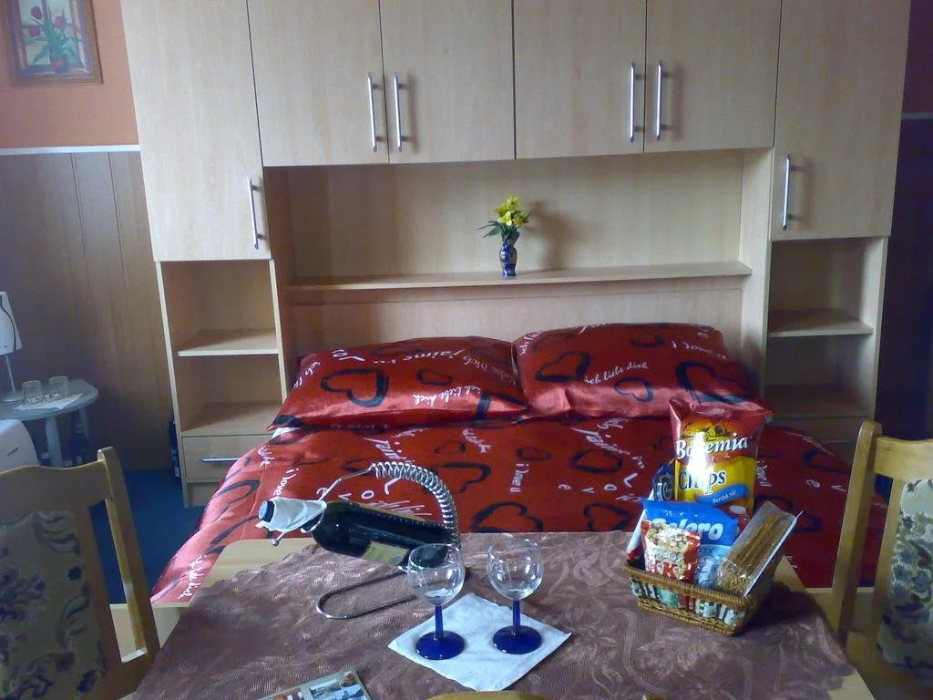 Pension Medvídek