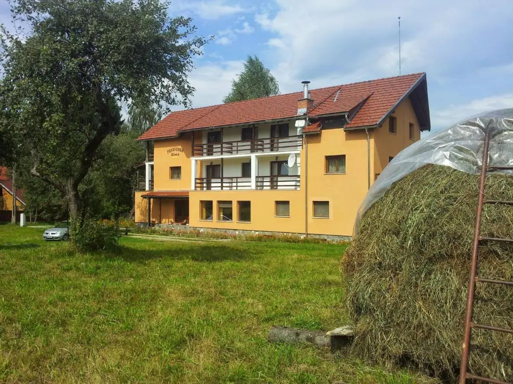 Pensiunea Elena
