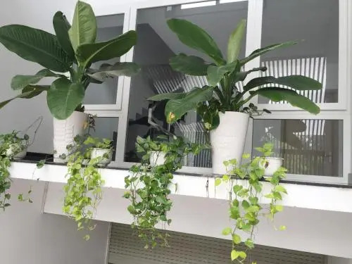 M-H5 Serviced Apartments