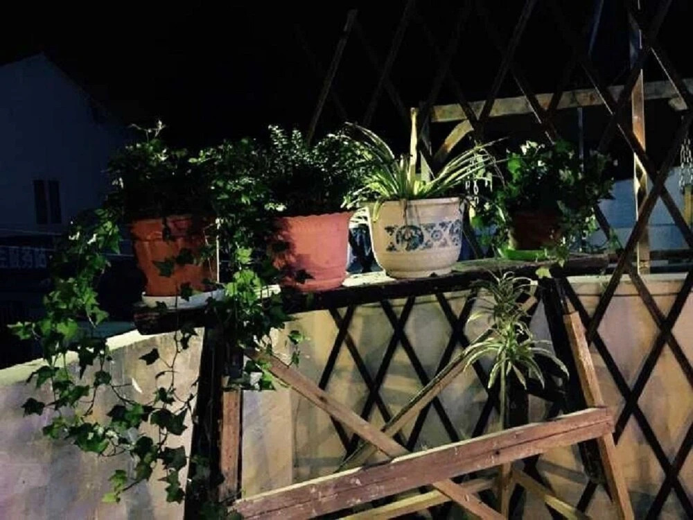 Wuzhen Home of Tom American Style Resort