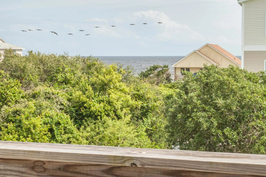 Saltwater Gospel by Oak Island Accommodations