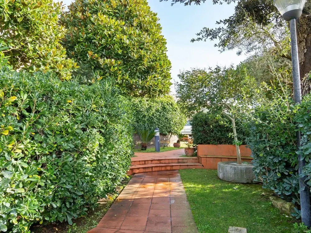 Simple Apartment in Massa Lubrense With Terrace