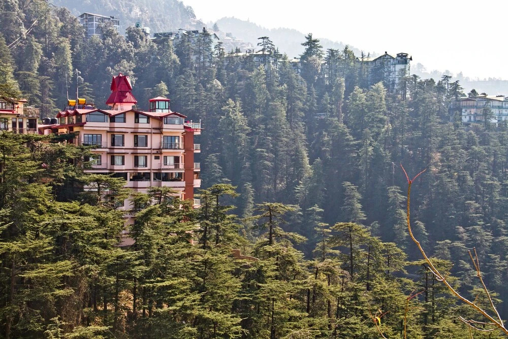 Oyo Premium 148 The Bodhi Tree Bnb