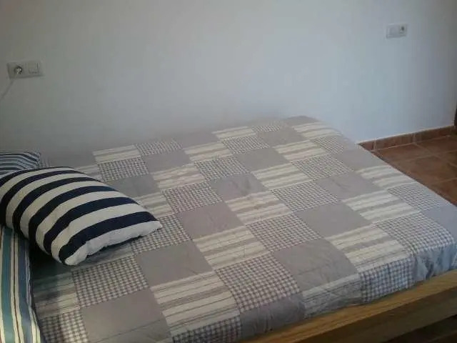 Tipuana
