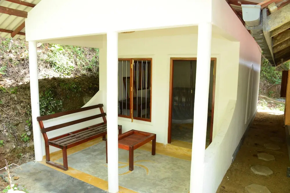 The Jungle House