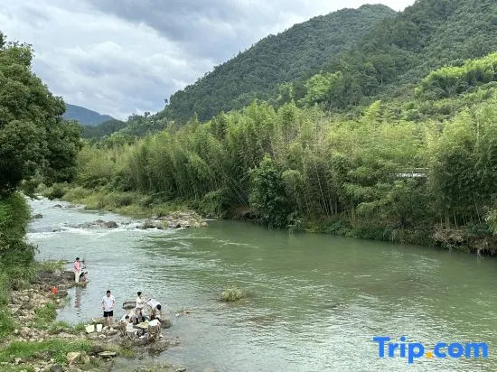 Zhixiju Pillow Water Homestay