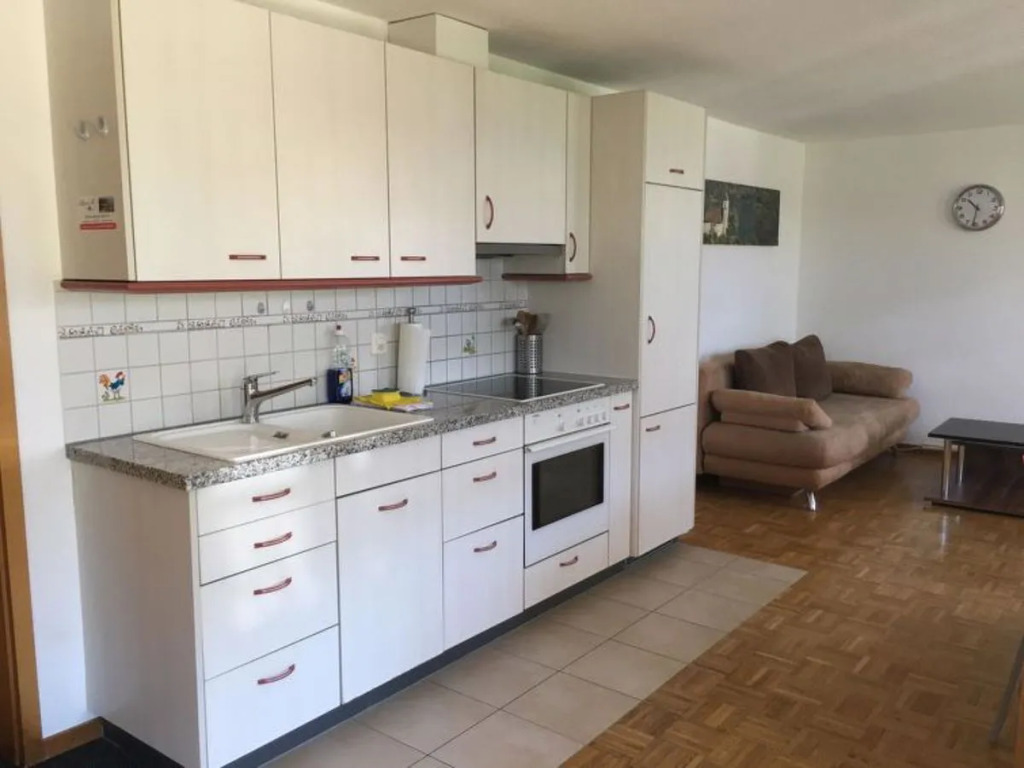 Schwizis Holiday Apartments 41419