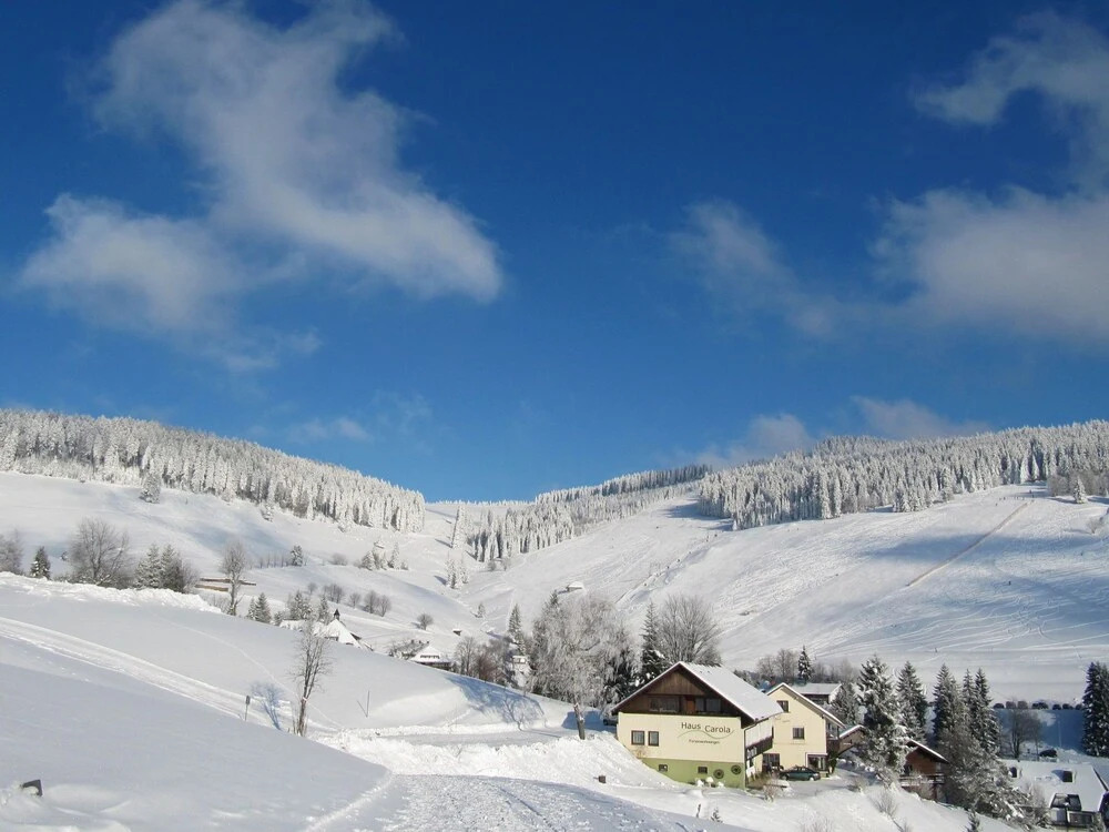 Luxurious Apartment in Todtnauberg With Terrace