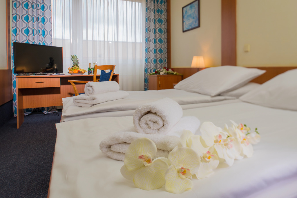 TOP HOTEL Praha