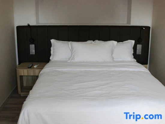Shanghai City Light Luxury Hotel (Fudan Affiliated Pediatric Hospital Hongxin Road Subway Station)