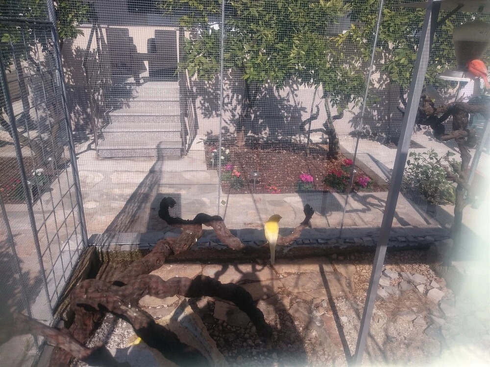 Apartment Canaria