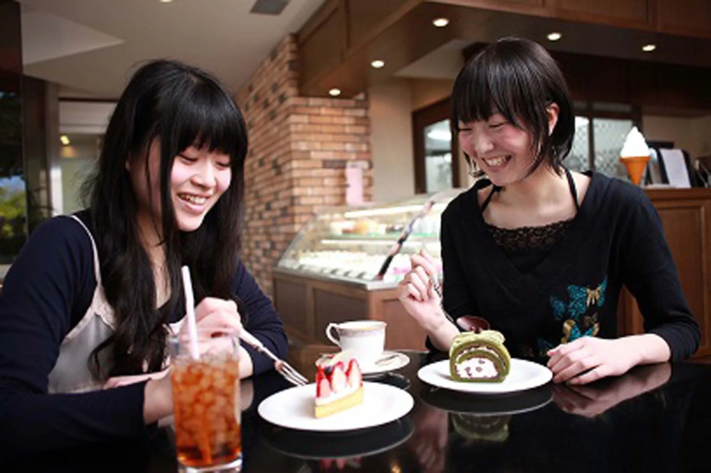 Hida Takayama Onsen Takayama Green Hotel - KEIO GROUP HOTELS
