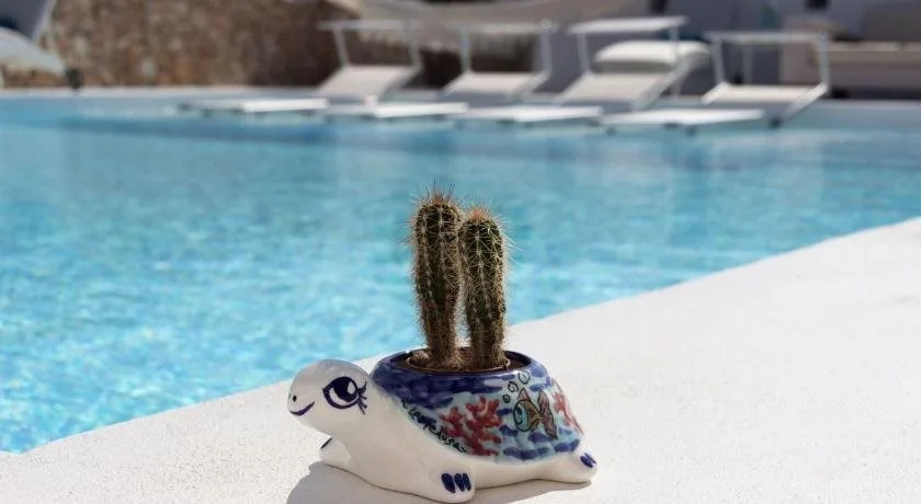 Hotel Macondo