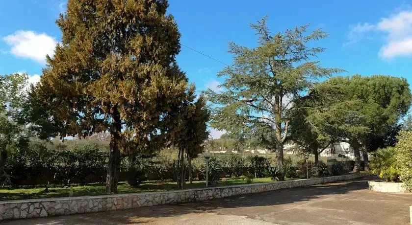 Stella Della Valle DItria