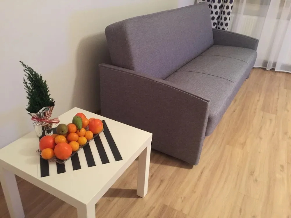 Penguin Rooms - Kielce Downtown Jasna