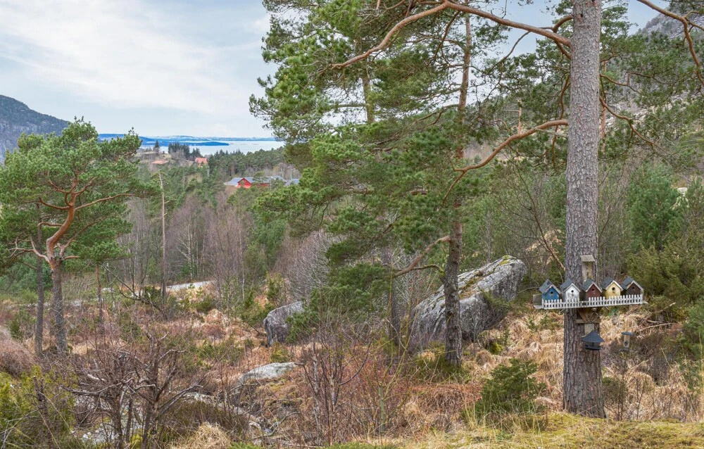 Beautiful Home in Jørpeland With Wifi and 3 Bedrooms