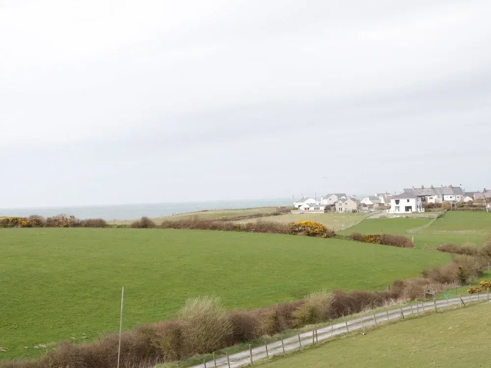 14 Cae Derwydd