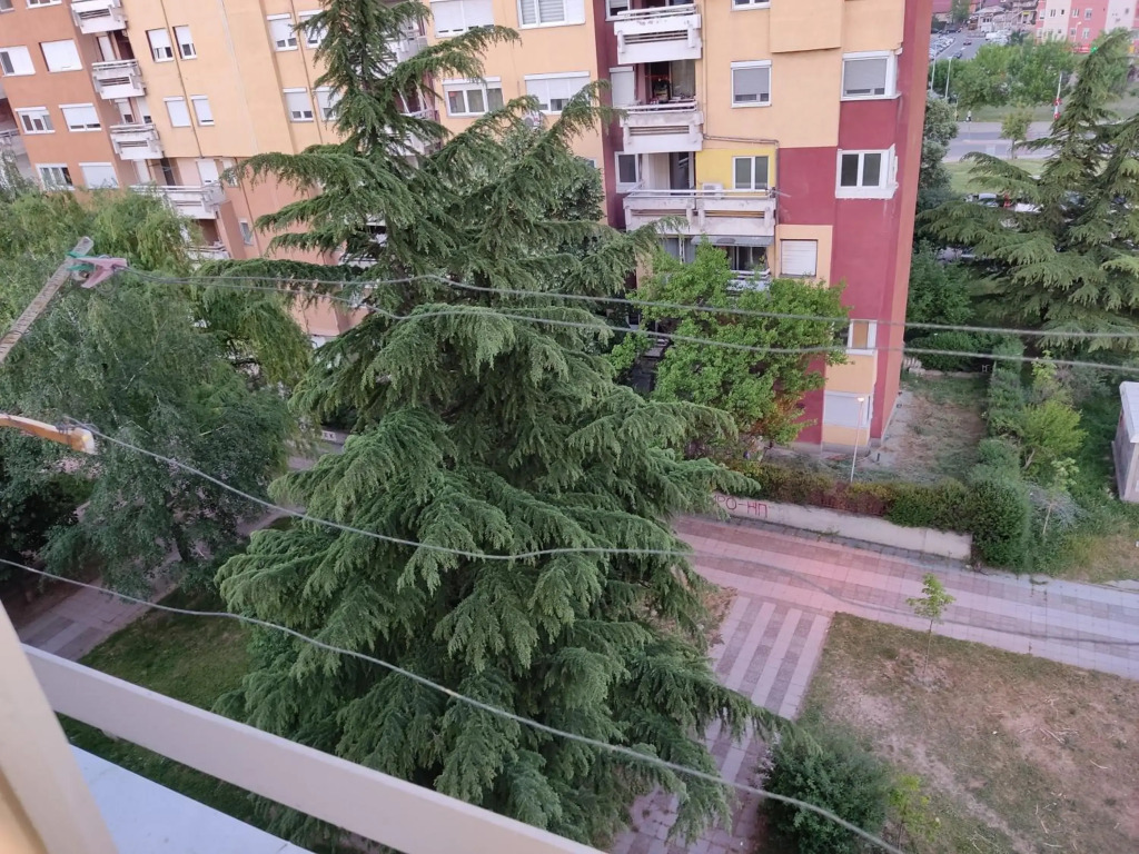 Zozi urban studio