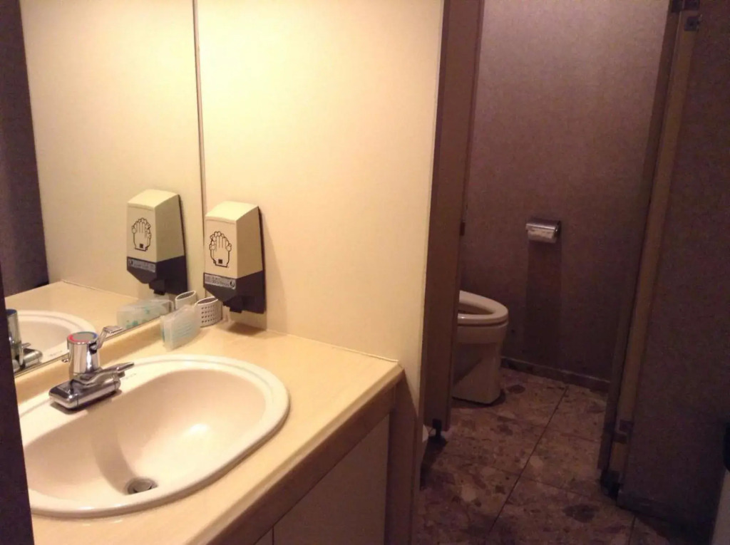 Shimizu plaza hotel