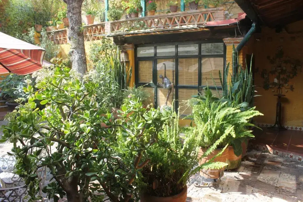 The Patio House