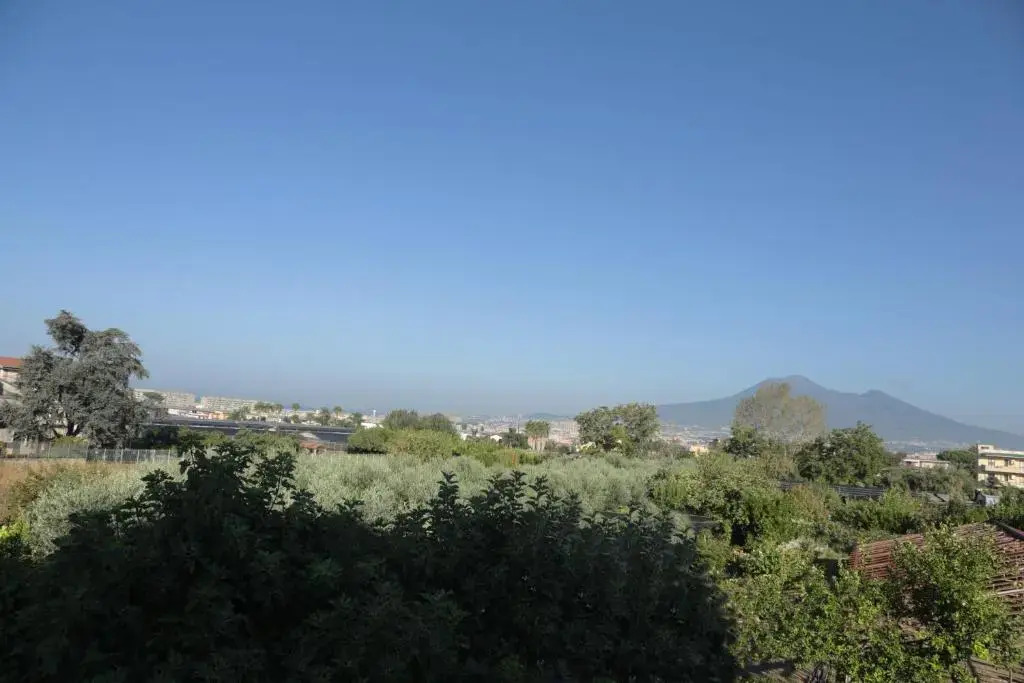 Verde Smeraldo