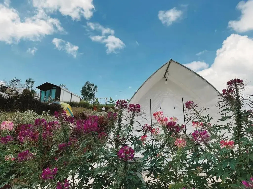The Haus at Khaokho