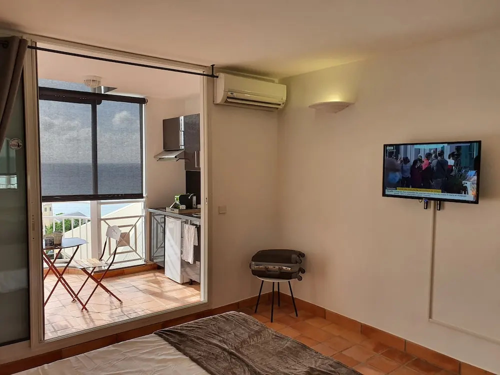 Studio abricot 309