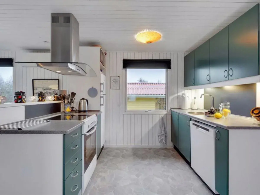 "Fritzie" - 7.2km from the sea in Western Jutland