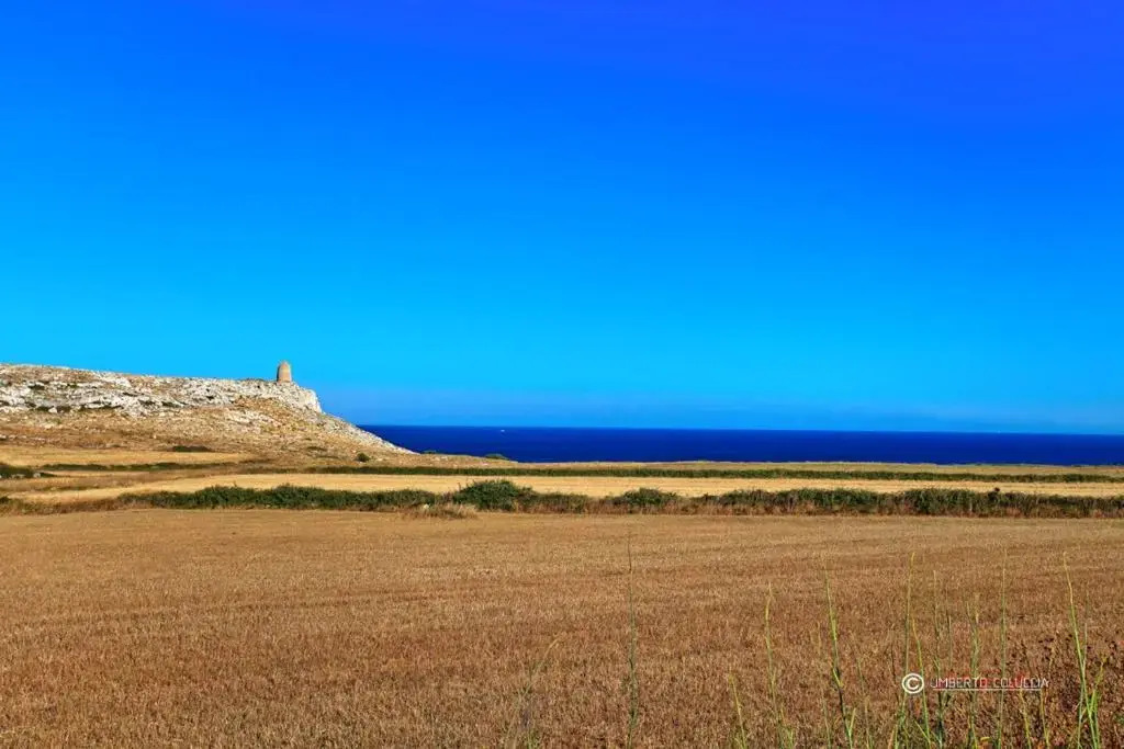 Agriturismo Masseria Terra DOtranto