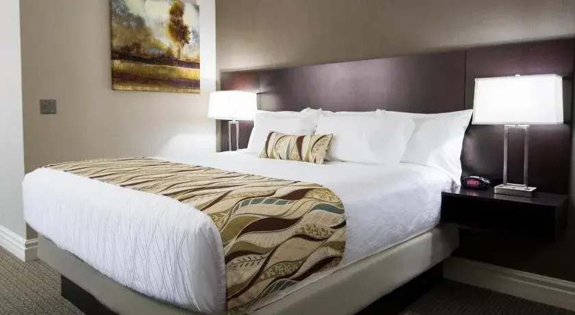 University Inn