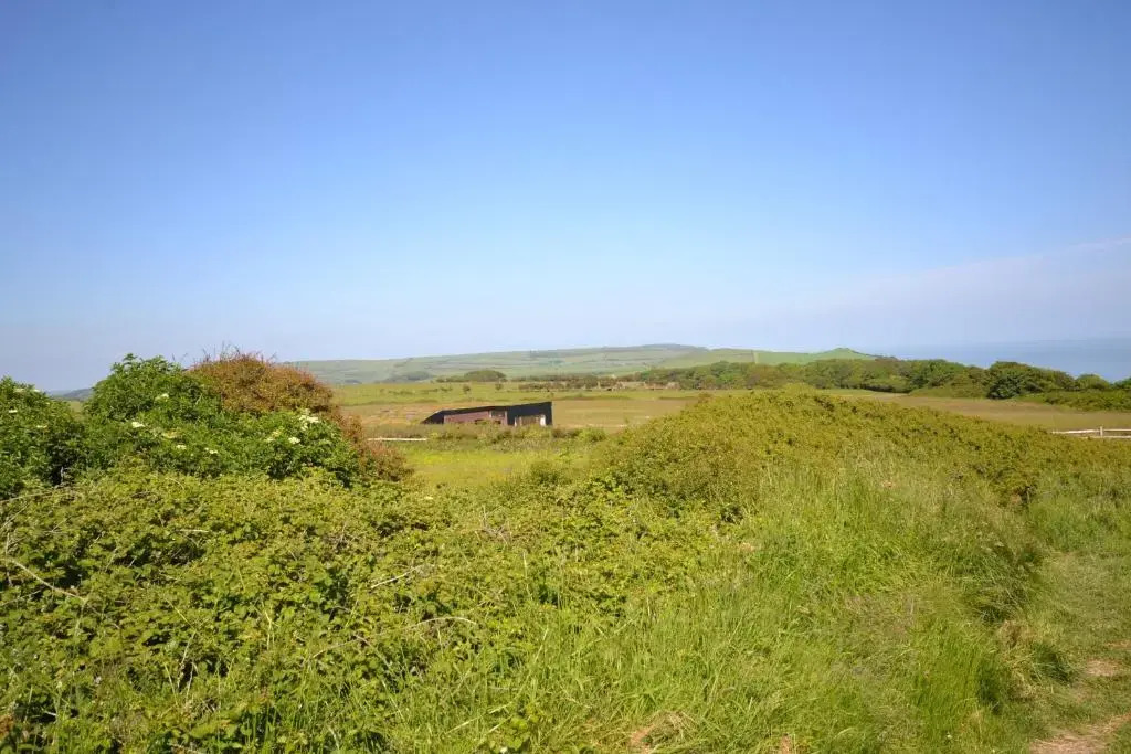 Morse Cottage