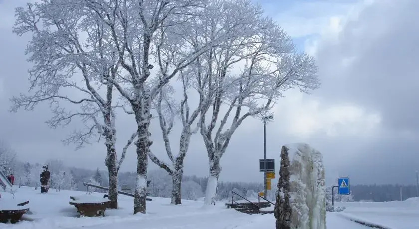 Hôtel-Restaurant-Spa-Séminaires de la Vue-des-Alpes