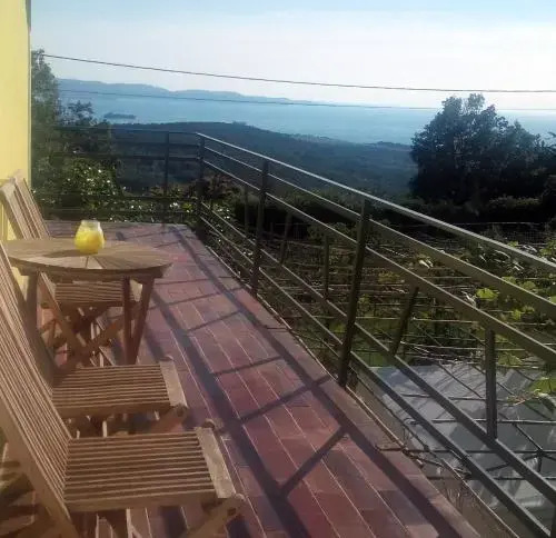 Na kmetiji s konji - Pogelšek