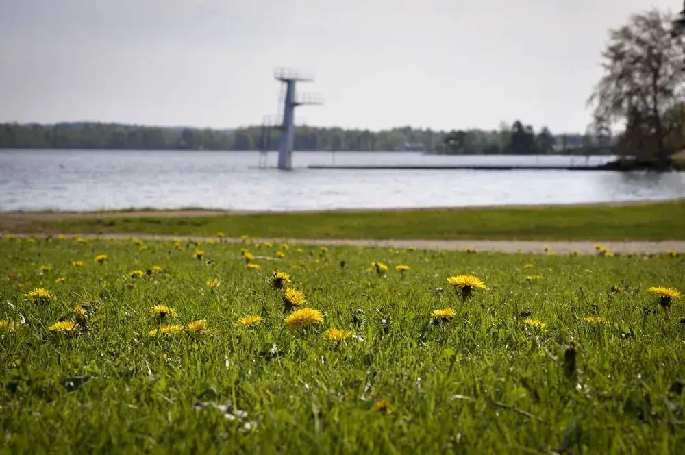 Evedals Vandrarhem Växjö