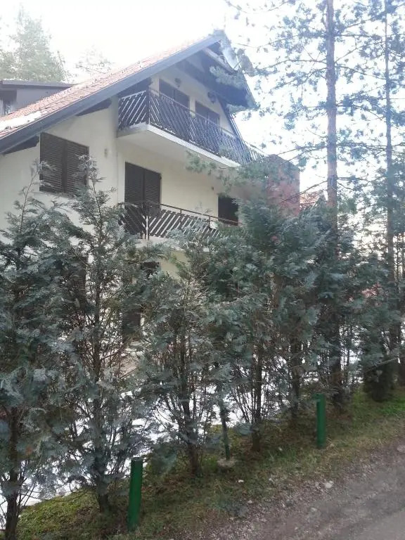 Apartment 9 Gorska Vila
