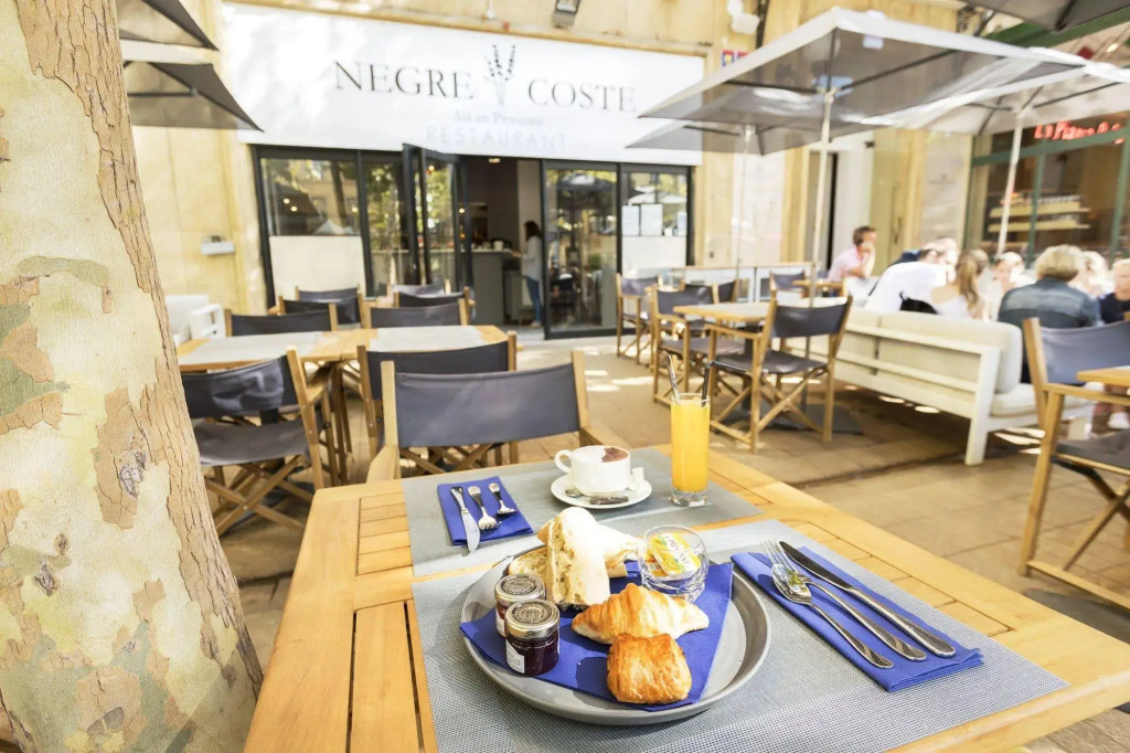 Negrecoste Hôtel & Spa