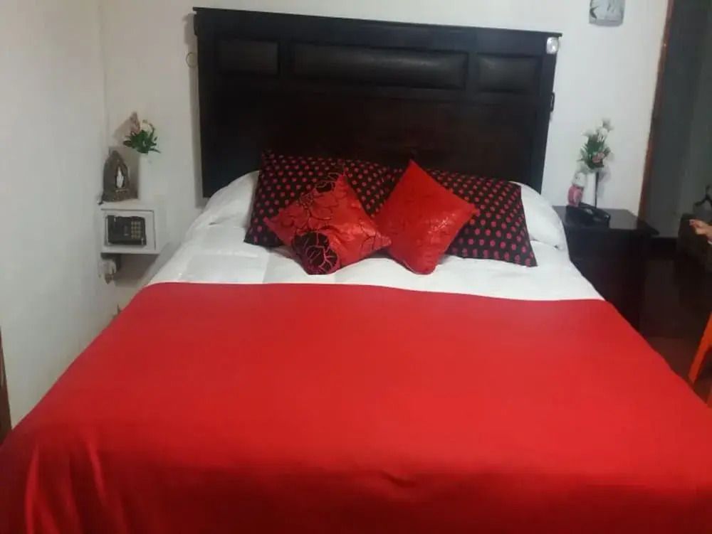 HOSTAL EL AROMO Chillán