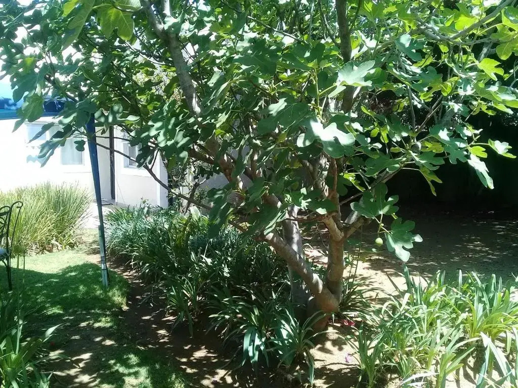 La Coscello Guest House