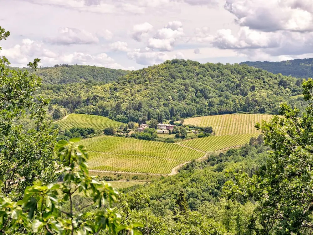 A Vineyard Apartment Retreat