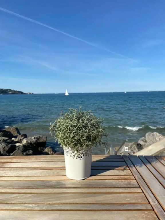Les Hauts de Biantenia Avec Wifi