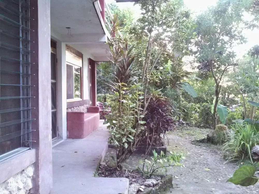 Zapote Tree Inn